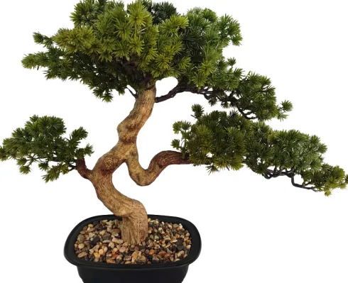 Drzewko Bonsai Florino 135
