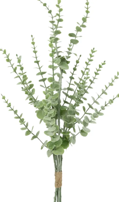Gałązka eukaliptusa Florino 132