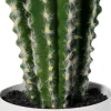 Kaktus Florino 9
