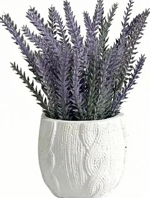 Roślina Florino 112